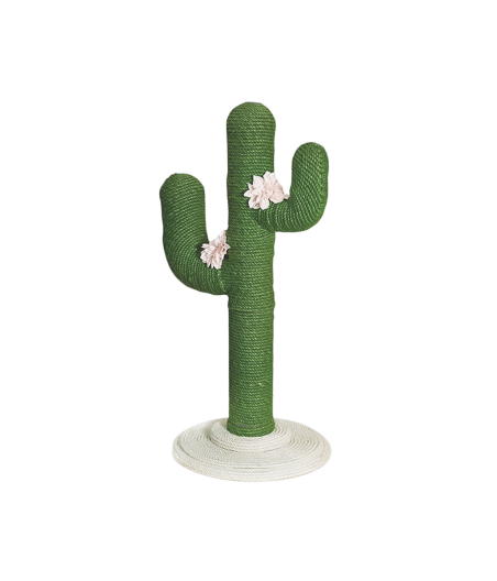 Scratching Post Cactus